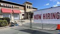 People expect AI to cause job loss, not growth, new survey finds