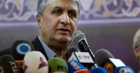 Iran condemns travel ban on nuclear chief
