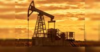 India’s petroleum exports rise 46% in April-August, Singapore overtakes Netherlands as top buyer: Crisil