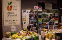 WFP project boosts agricultural production in Holguín