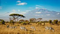 British Airways Launches Kilimanjaro and Zanzibar Flights From Gatwick
