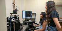 Sixth sense guides food decisions, according to University of Arizona research