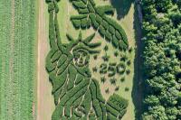 Treworgy Family Orchards in Maine Named Best Corn Maze in US