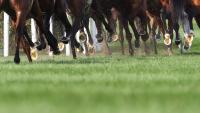 Why did a tech genius want to buy the most successful commercial stud in Britain?