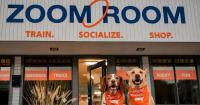 Zoom Room's Real Estate Advantage: A Dog Training Model Built for Today's...