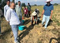 Dir Agri Kashmir reviews activities at Seed Multiplication Farm Allowpora