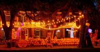 A haunted corn maze in Mississippi and 'Harvest Hues' in Texas: Here are 6 Southern fall events