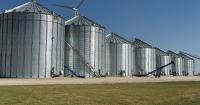 Is it time to expand your on-farm grain storage?