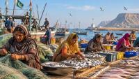 The Invisible Hands Behind Pakistan’s Fishing Industry