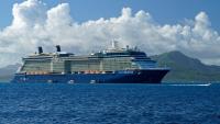 Terrifying medical emergency on popular cruise line prompts airlifting evacuation