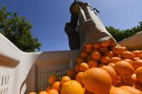 Australia Cuts Backpacker Places as Farming, Tourism Warn of Shortages