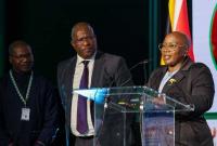 Africa must accelerate participation in green hydrogen value chains, says Dr Gina