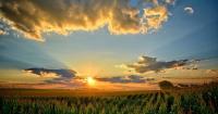PNS: Farm Bill delay leaves Iowa producers without clear path forward
