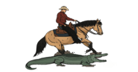 The Southern Reined Cow Horse Alliance is hosting the 4th Annual Louisiana Classic