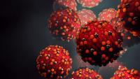 Measles Cases Double in Southeastern Minnesota County