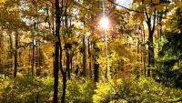Ohio state parks named USA Today's best places to see fall colors