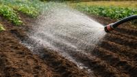 Uzbekistan Plans to Turn Cotton Waste Into Soil Moisture Magnets