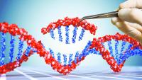 Biotechnology and healthcare: where we are in India, and where we need to go