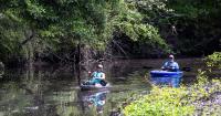 Kayaking with BREC, Anthony Bourdain biopic at the Manship and more: Around Baton Rouge