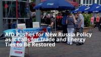 AfD Pushes for New Russia Policy as It Calls for Trade and Energy Ties to Be Restored