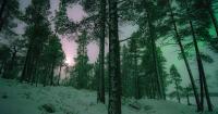 Finnish mythology's mysterious realm