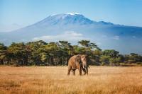 British Airways adds Kilimanjaro and Zanzibar as part of summer 2027 expansion
