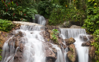 Fondo Sur seeks to protect water and marine ecosystems in the southwest