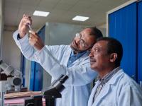 WHO calls for more research into traditional medicine to meet growing health needs