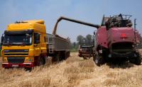 Zimbabwe targets record wheat harvest