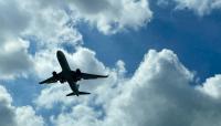 New Mexico bucks international travel decline