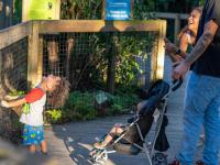 Celebrate Hispanic heritage &amp; culture during September’s Sunset at the Zoo, presented by Orlando Health