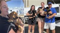 Rescued Puppies Transported to Central Florida with Volunteer Pilots
