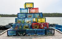 Canadian seafood exports to Vietnam grow as Nova Scotia increasingly targets market