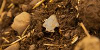 Scientists Found Tiny Ancient Arrowheads Where Humans Weren’t Supposed to Be