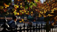 Is fall a good time to buy and sell houses in Greater Boston?