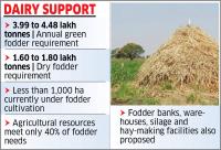 49% fodder crunch prompts 10,000-ha cultivation plan
