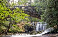 Whatcom Water Week, Taste of Ferndale, SunnylandFest, live music and more | Lifestyle Lookout