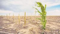 Climate-vulnerable countries spend nearly 25 times more on debt than climate action – ActionAid report