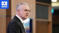 ICE-style immigration raids won't be used in Australia, minister says