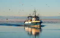 EU Parliament votes in favor of revising Common Fisheries Policy