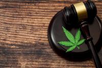 Judge Won't Toss Cannabis Co. Rival Suit, Criticizes AI Misuse