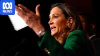 Republican breaks with Trump over immigration crackdown ahead of US midterms