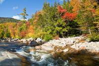 Why Now Might Be the Best Time for White Mountains Leaf-Peeping