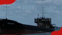 Russian drones strike, kill captain of ship heading to Tanzania
