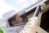 New Hampshire 11-year-old creates buzz with wasp removal service