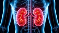 Women’s kidney health may be overlooked, delaying critical prevention and treatment opportunities