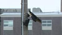 Milwaukee Flock camera policy changes; FPC Commission holds meeting