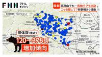Bear Sighting Raises Alarm at Popular Tokyo Hiking Spot
