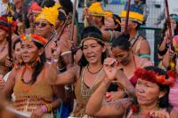 At Least 124 Land and Environmental Defenders Killed in 2025, Mostly in Latin America: Report