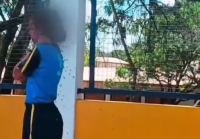 VIDEO: Schoolgirl hospitalized after being stung more than 100 times by swarm of bees in Brazil